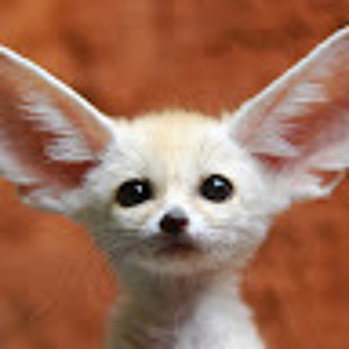 Oskar, Mikstyle & Jacbob - Budapest [prod. Macgotabagg]