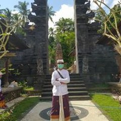 arta