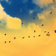 Bu.Saif97