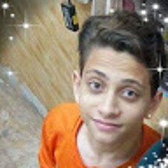 Ali Ali Eldeeb
