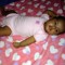Infin Katamy