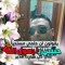 Haitham Kamal