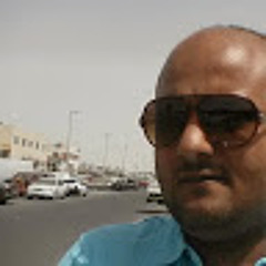 hany bolis
