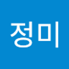 김정미