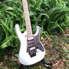 zach6505ibbyshredin