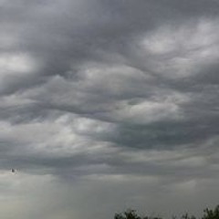 aaa