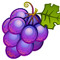 Fruit Juice