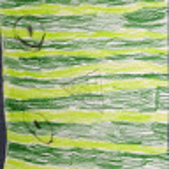 Chausflo100 Karmanovski