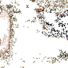 qtbeam