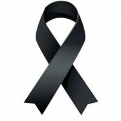User 509569160