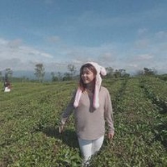Mỹ Hạnh