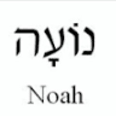 Noah Cate