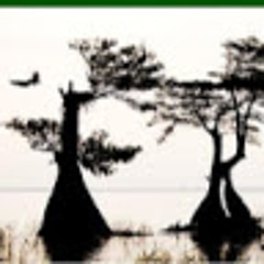 cypress cove