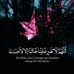 mohamee naser