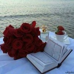 Yasmeen M Habash