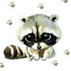 Rac coon