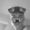 Luke Chilton
