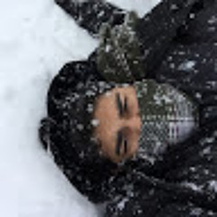 Ali Nasseri
