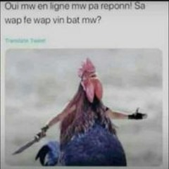 Wenson Drole