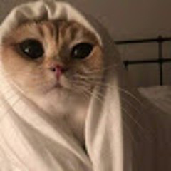 Lera Тимовська