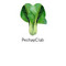 PechayClub