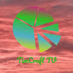 TimCraftTV