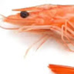 ПаЖиЛаЯ КрЕвЕтКа