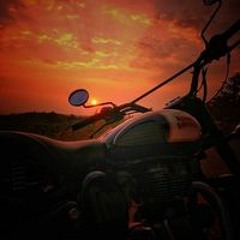 vibe rider