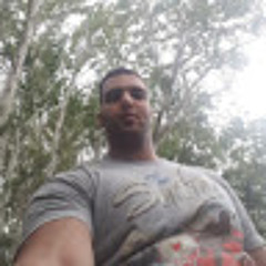 saeed khodadadi