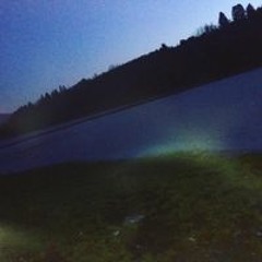 Frigo