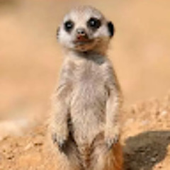 Gazzillion Ear (MF Doom ft. J Dilla Lo-Fi remix)