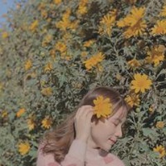 Huỳnh Mai