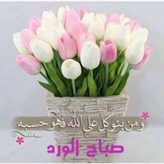 تحفيز ثانوية عامة انا مش هقع  _ثانوية_عامة _حملة_توصيل_القناة_الى_100_ألف_مشترك_جزاكم_الله_خيرا(MP3_