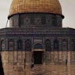 تومي الحلوهه