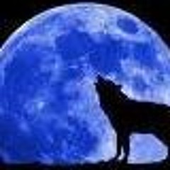 ابو رامي رامي