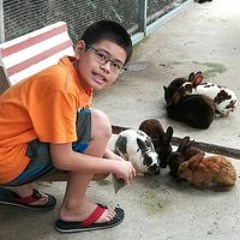 LeeWenJie