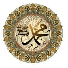 Samy Amer