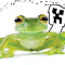 Mr Frog