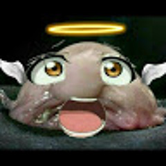 HolyBob