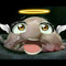 HolyBob