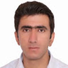 Ali Mohamadyari