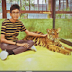 anshul