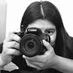 Top 50: All music genres