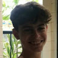 Lucca de Almeida Stroili