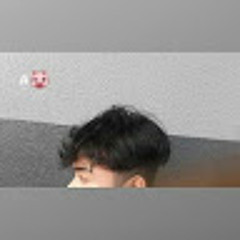 Hồng Diệt Đỗ