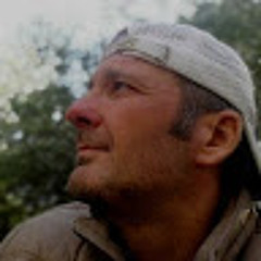 User 290197695