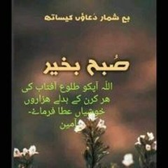 Sadia Mehmood