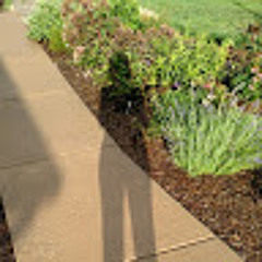 Connect with Symmetry