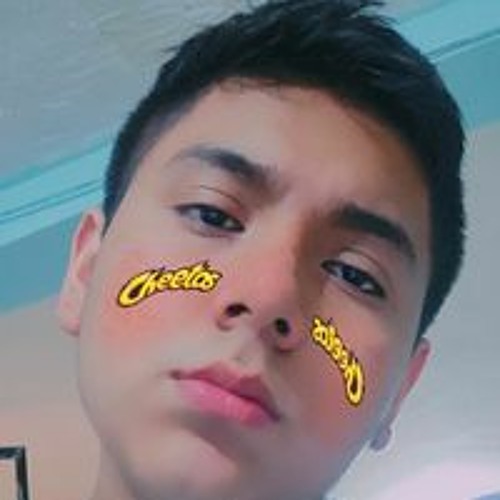Arturo Esteban Flores Martinez’s avatar