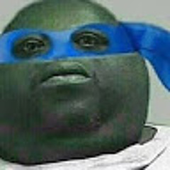 fat ninja turtle